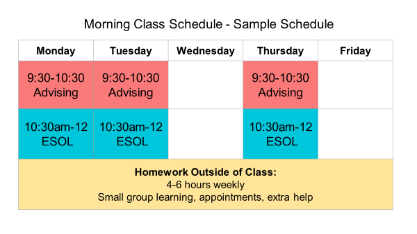 Program for IELTS